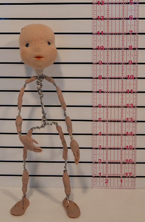 Image wire armature